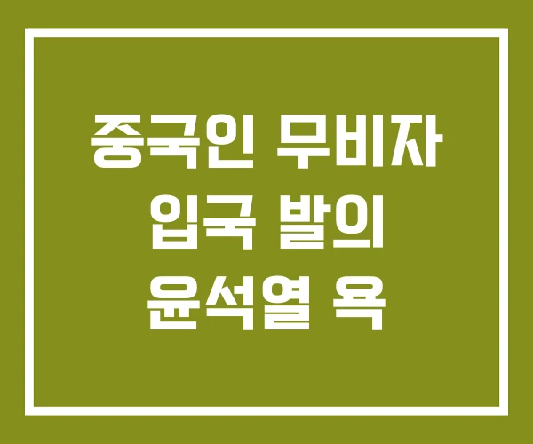 중국인 무비자 입국 발의 윤석열 욕