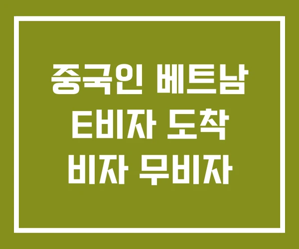 중국인 베트남 E비자 도착 비자 무비자