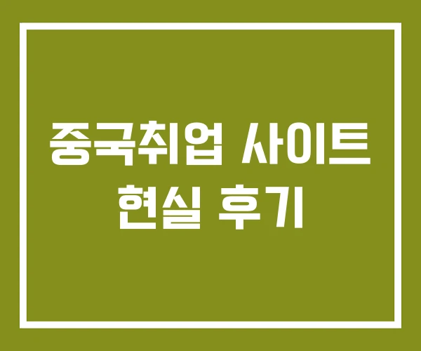 중국취업 사이트 현실 후기