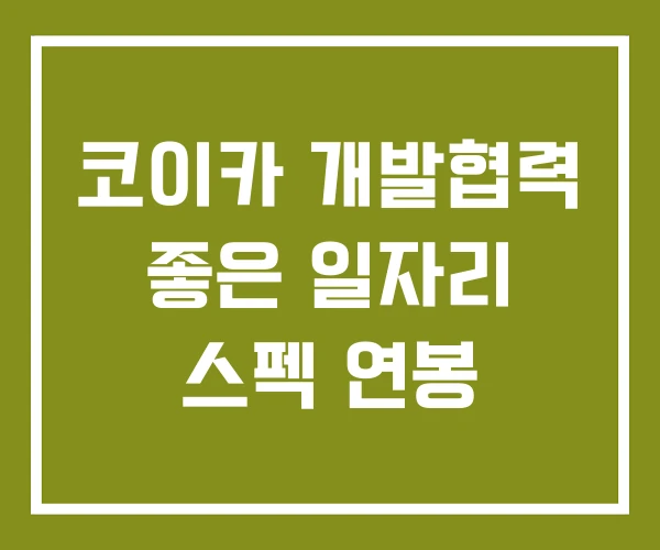 코이카 개발협력 좋은 일자리 스펙 연봉