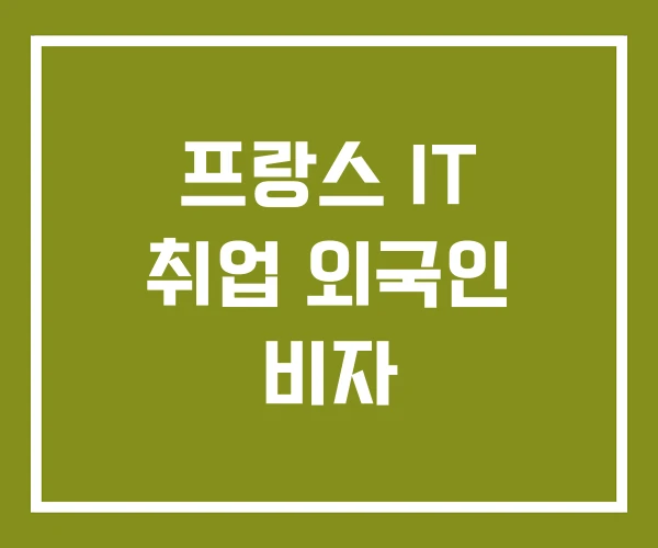 프랑스 IT 취업 외국인 비자