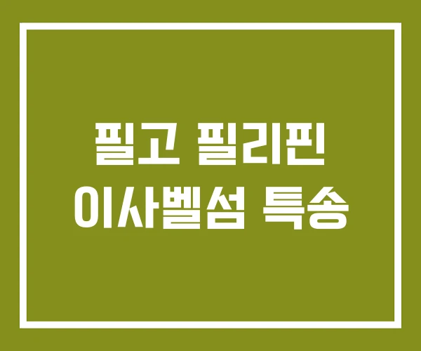 필고 필리핀 이사벨섬 특송