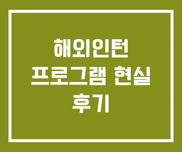 해외인턴 프로그램 현실 후기