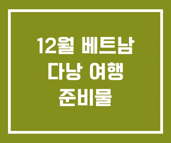 12월 베트남 다낭 여행 준비물