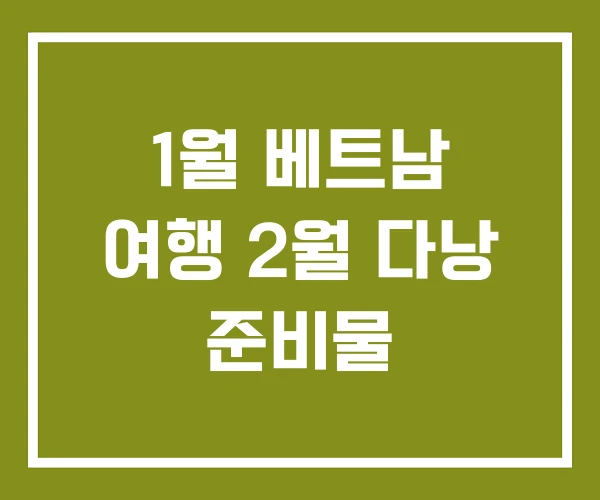 1월 베트남 여행 2월 다낭 준비물