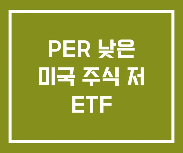 PER 낮은 미국 주식 저 ETF