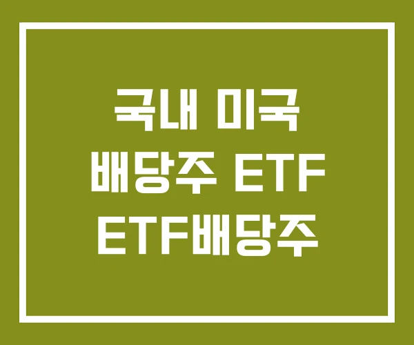 국내 미국 배당주 ETF ETF배당주