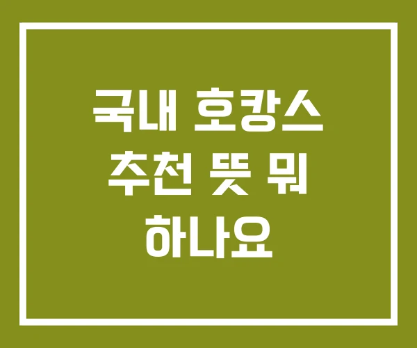 국내 호캉스 추천 뜻 뭐 하나요