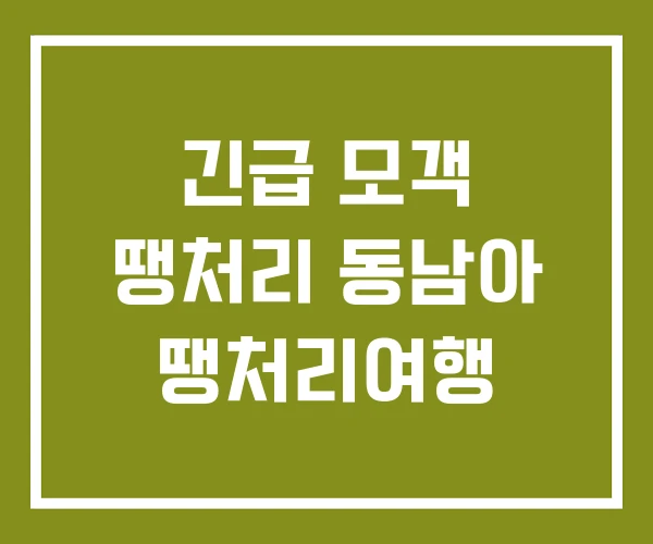 긴급 모객 땡처리 동남아 땡처리여행