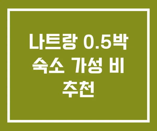 나트랑 0.5박 숙소 가성 비 추천