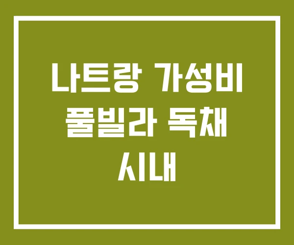 나트랑 가성비 풀빌라 독채 시내