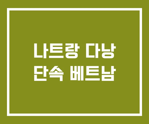 나트랑 다낭 단속 베트남