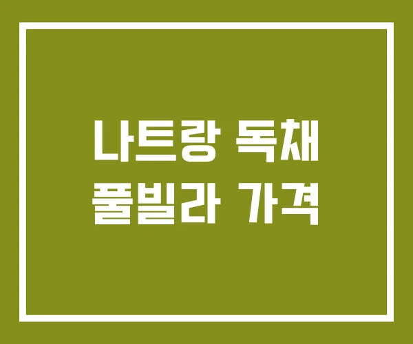 나트랑 독채 풀빌라 가격