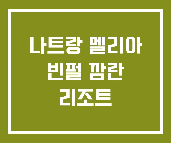 나트랑 멜리아 빈펄 깜란 리조트