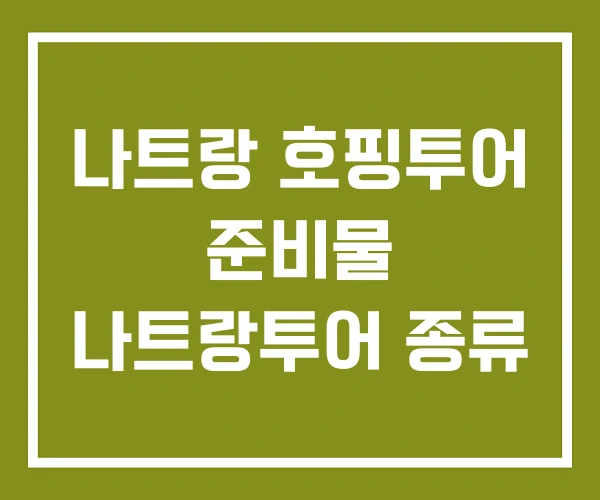 나트랑 호핑투어 준비물 나트랑투어 종류