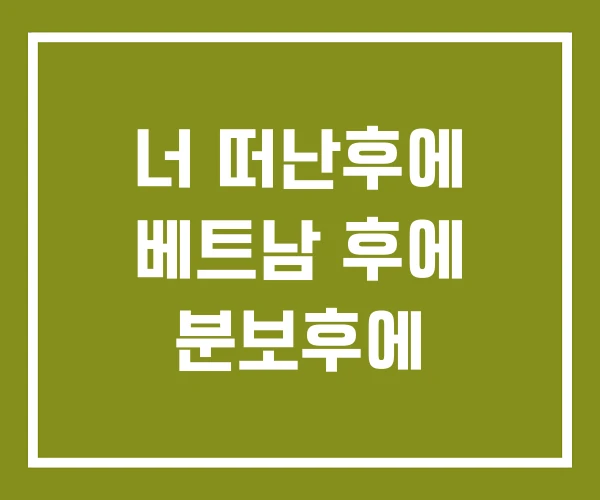 너 떠난후에 베트남 후에 분보후에