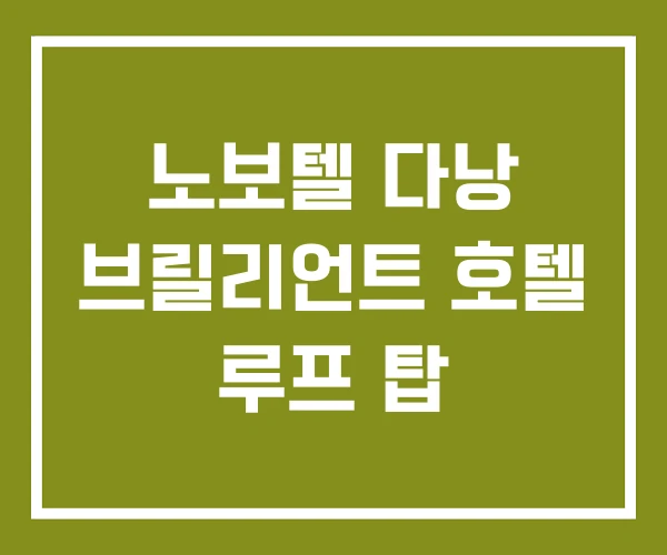 노보텔 다낭 브릴리언트 호텔 루프 탑