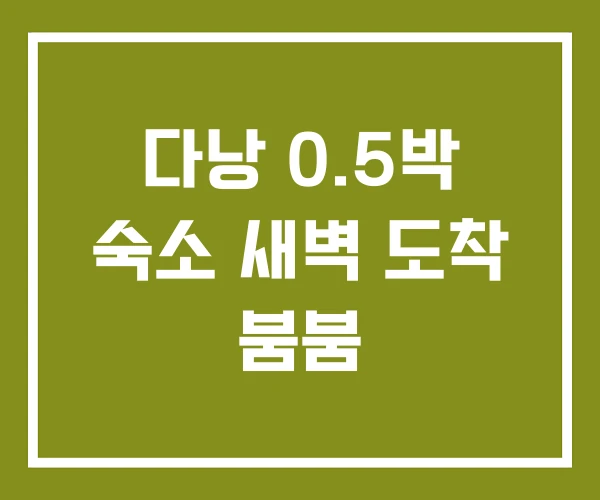 다낭 0.5박 숙소 새벽 도착 붐붐