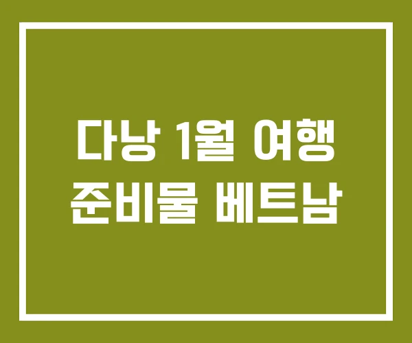 다낭 1월 여행 준비물 베트남