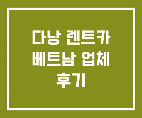 다낭 렌트카 베트남 업체 후기