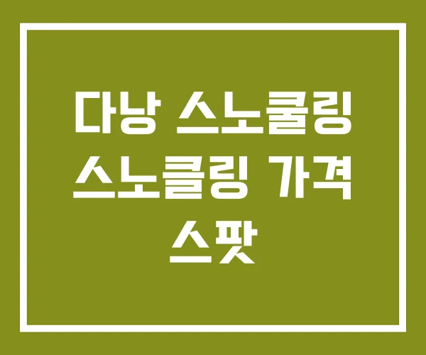 다낭 스노쿨링 스노클링 가격 스팟