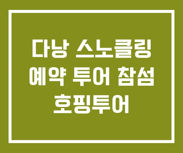 다낭 스노클링 예약 투어 참섬 호핑투어