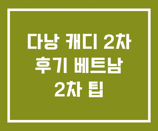 다낭 캐디 2차 후기 베트남 2차 팁