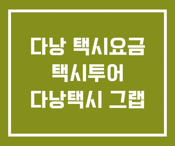 다낭 택시요금 택시투어 다낭택시 그랩