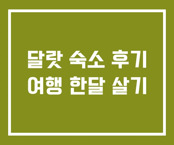 달랏 숙소 후기 여행 한달 살기