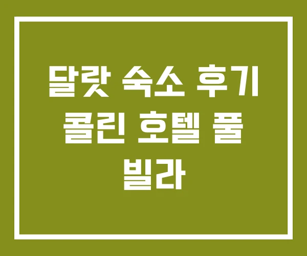 달랏 숙소 후기 콜린 호텔 풀 빌라