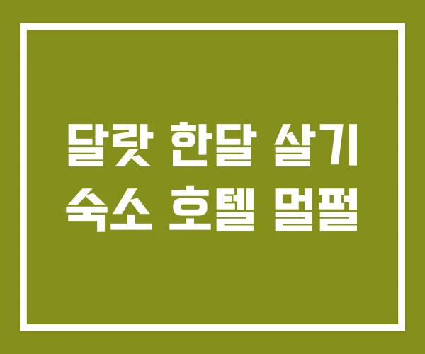 달랏 한달 살기 숙소 호텔 멀펄