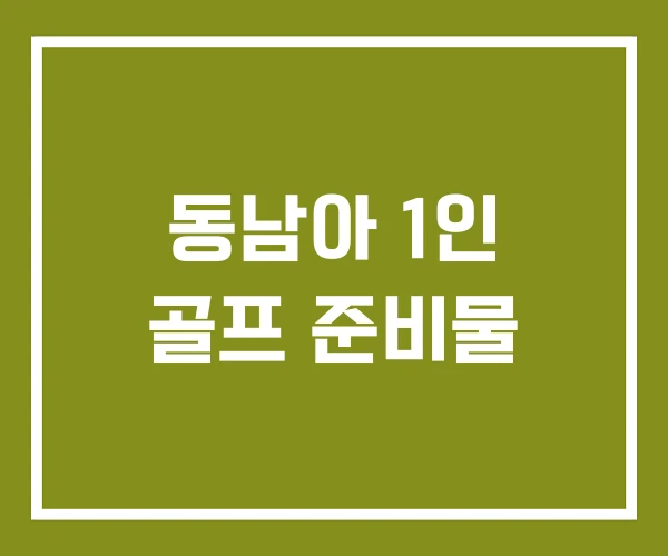 동남아 1인 골프 준비물