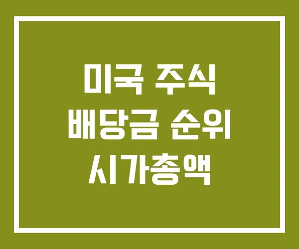 미국 주식 배당금 순위 시가총액