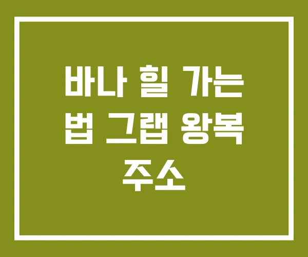 바나 힐 가는 법 그랩 왕복 주소