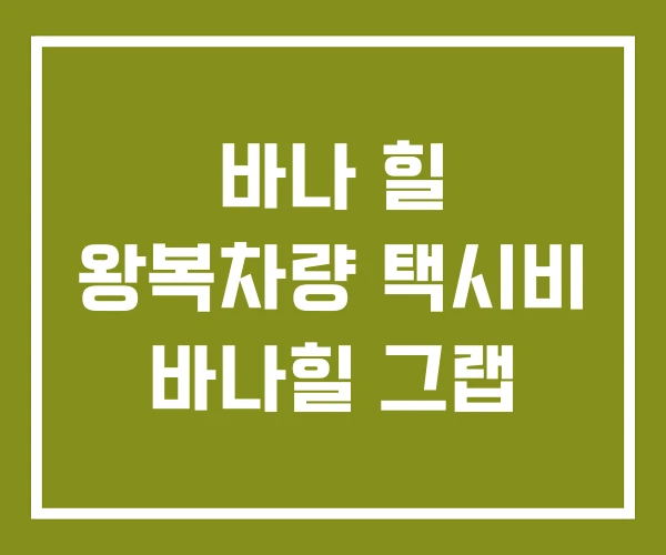 바나 힐 왕복차량 택시비 바나힐 그랩 바나 힐 왕복차량 택시비 바나힐 그랩
