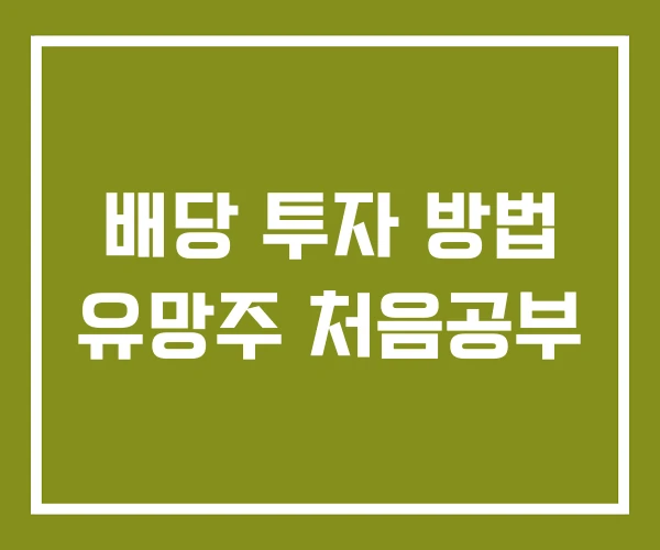 배당 투자 방법 유망주 처음공부