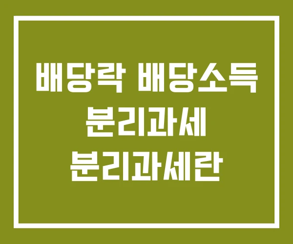 배당락 배당소득 분리과세 분리과세란