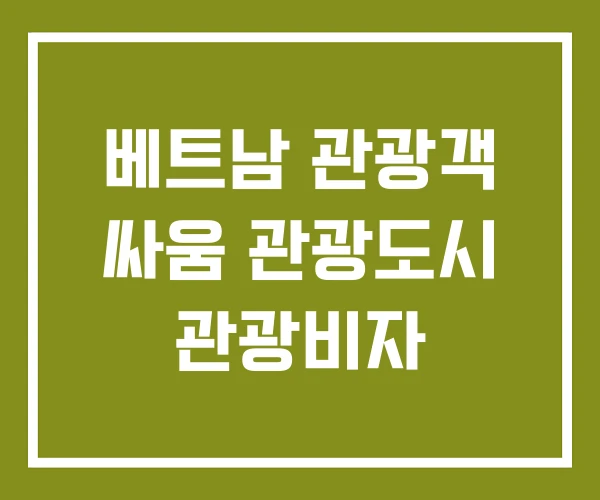 베트남 관광객 싸움 관광도시 관광비자 베트남 관광객 싸움 관광도시 관광비자