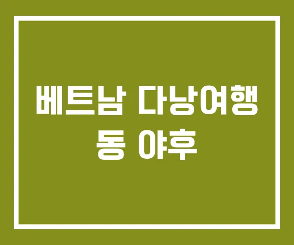 베트남 다낭여행 동 야후