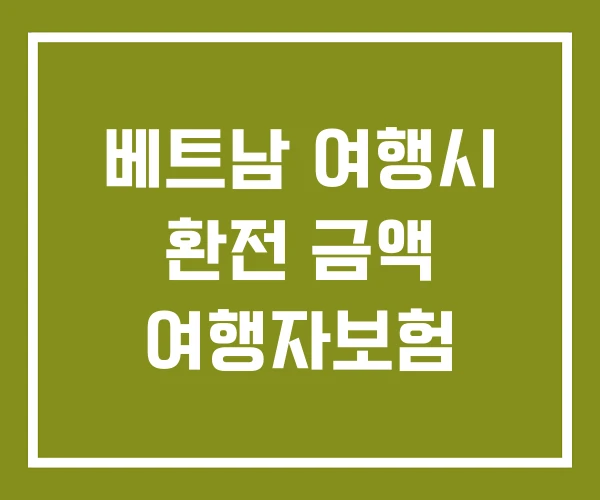 베트남 여행시 환전 금액 여행자보험
