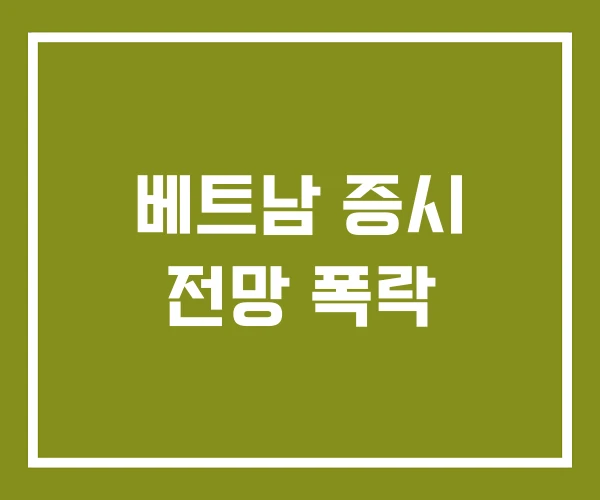 베트남 증시 전망 폭락