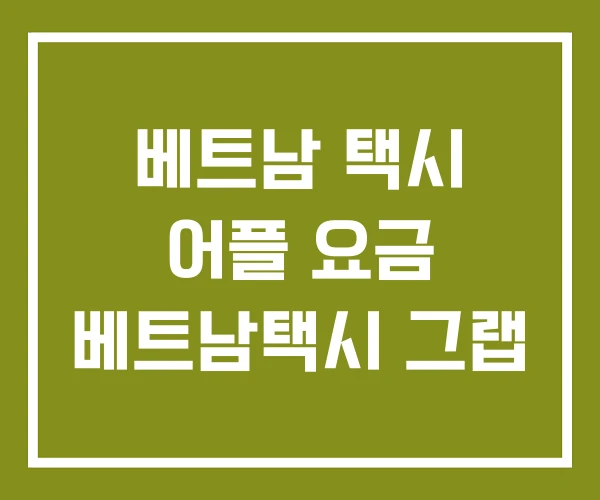 베트남 택시 어플 요금 베트남택시 그랩