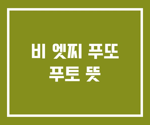 비 엣찌 푸또 푸토 뜻 비 엣찌 푸또 푸토 뜻