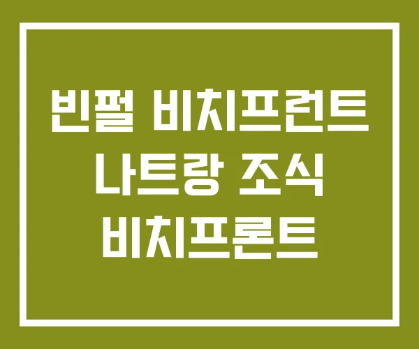 빈펄 비치프런트 나트랑 조식 비치프론트