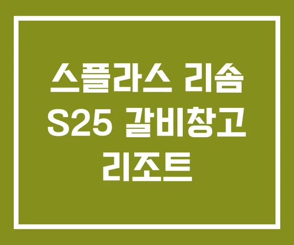 스플라스 리솜 S25 갈비창고 리조트
