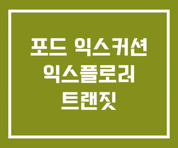 포드 익스커션 익스플로러 트랜짓