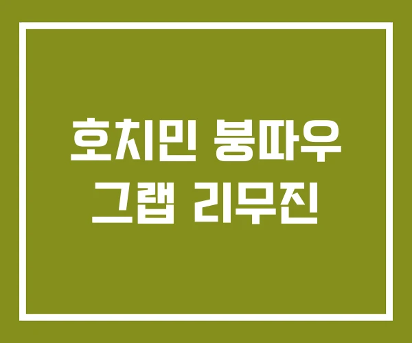 호치민 붕따우 그랩 리무진