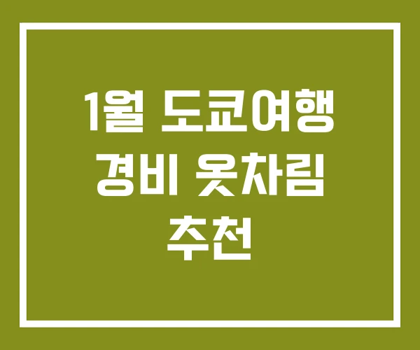 1월 도쿄여행 경비 옷차림 추천