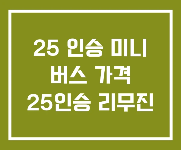 25 인승 미니 버스 가격 25인승 리무진