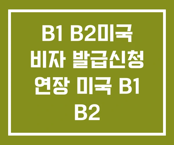 B1 B2미국 비자 발급신청 연장 미국 B1 B2